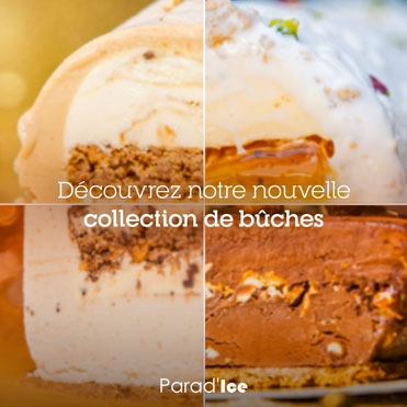 Parad'Ice - Nouvelle collection de bûches 